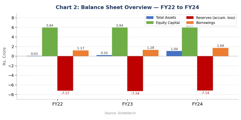 Balance Sheet Overview — FY22 to FY24